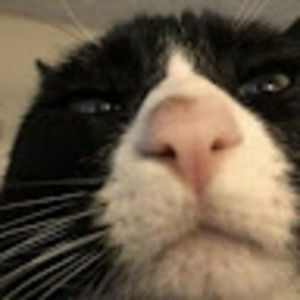 Meet your Posher, Cheese